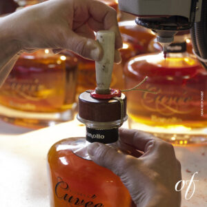 DISTILLERIE BONOLLO UMBERTO